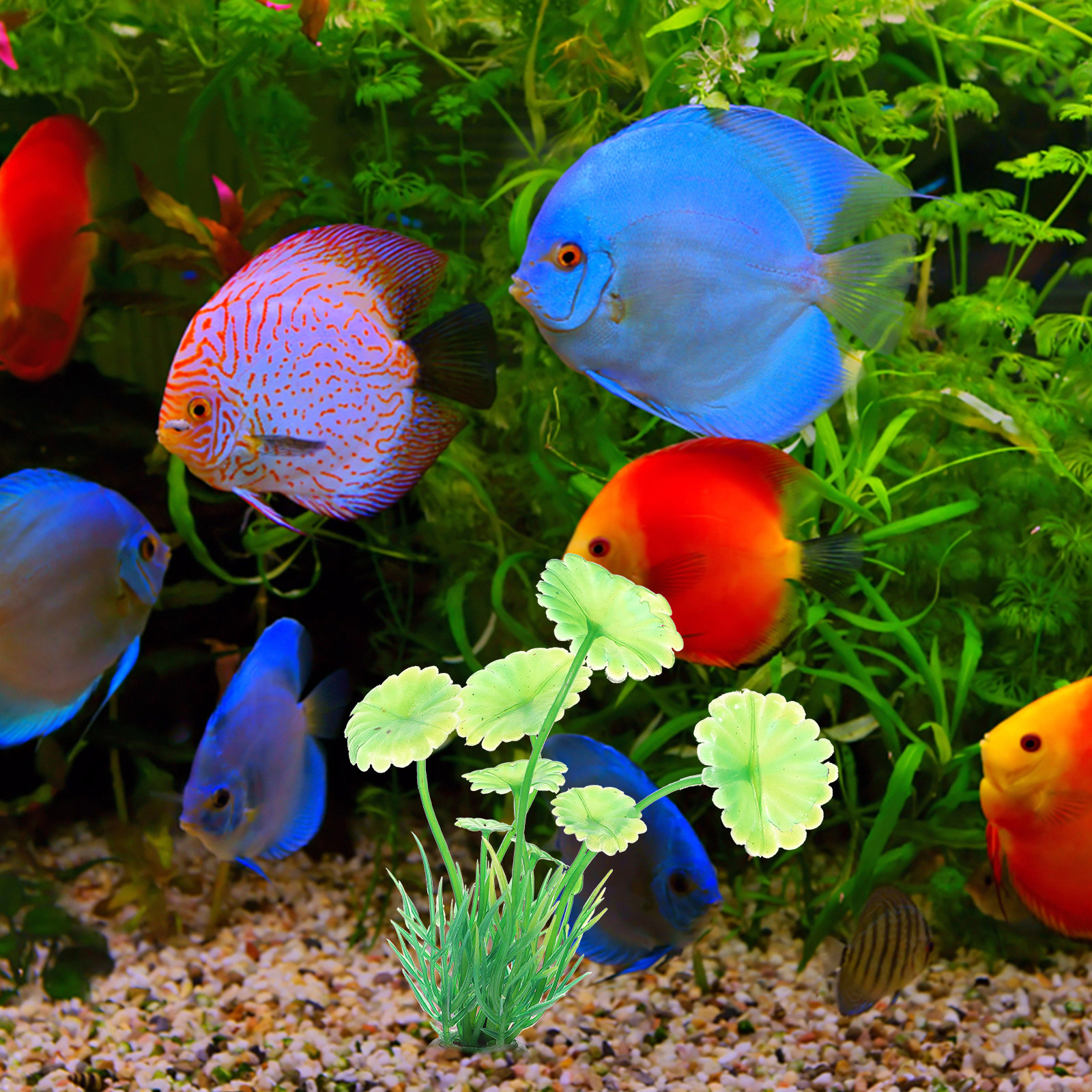 10Pcs Artificial Aquarium Gras - Aquarium Planted Setup recension och pris