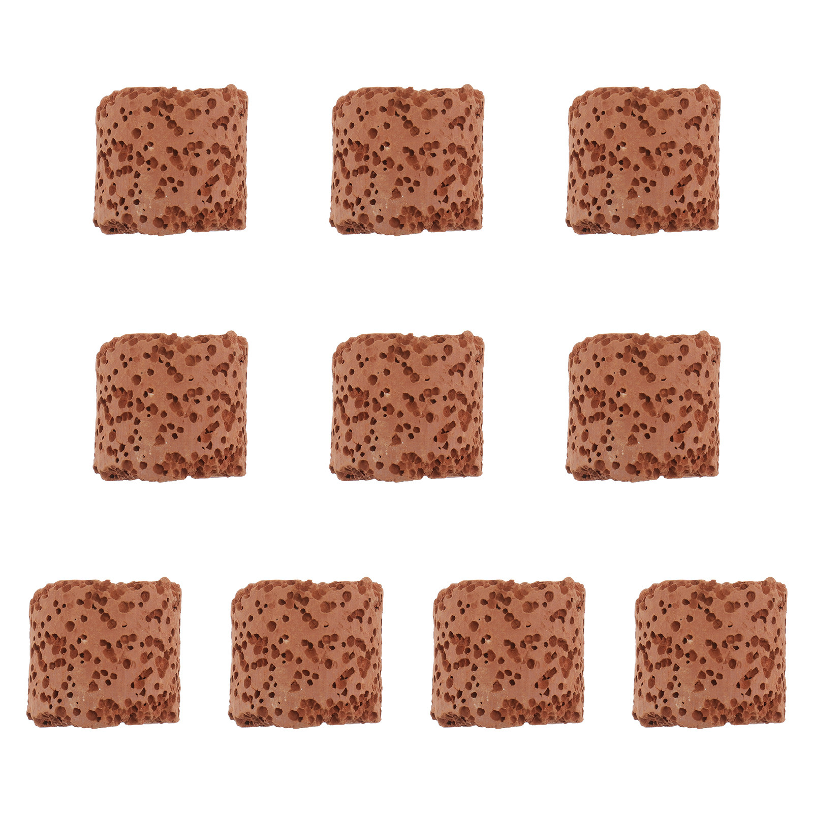 10Pcs Water Plant Fixed Ring H - Aquarium Planted Setup recension och pris